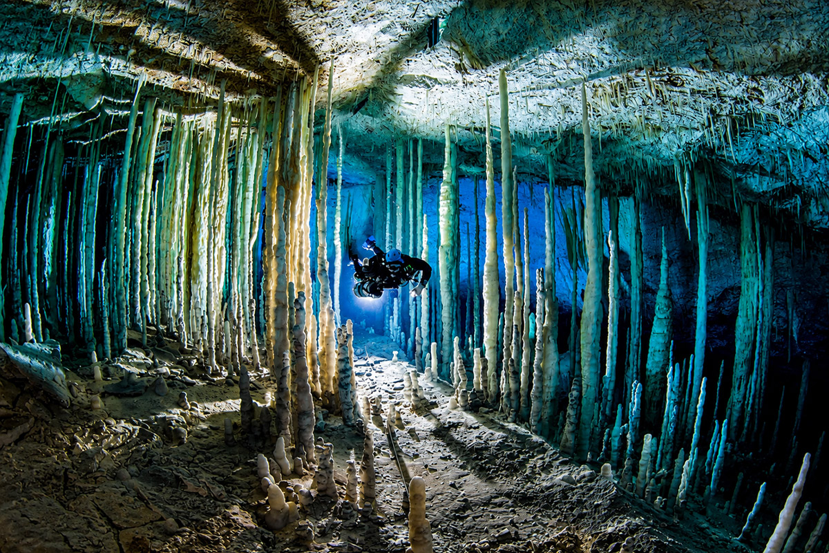 Abaco diving image placeholder